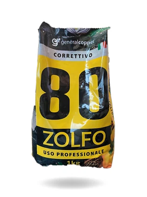 ZOLFO 80 MICRONIZZATO IN POLVERE 1 kg BAGNABILE - Immagine 1 di 2