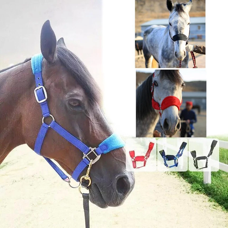 Padded Horse Halter Equestrian Adjustable Headstall Head Collar - image 1 of 1
