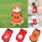 Pet Clothes for Medium Dogs Easter The Ultimate Fashion Fix: Dress Your Pet To