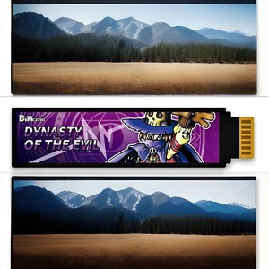 CUSTOM Dynasty of the Evil DIM Digimon Vital Bracelet/VITAL HERO DeV Dim Card - Picture 1 of 11