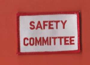 PARCHE UNIFORME SOMBRERO COMITÉ DE SEGURIDAD - Imagen 1 de 1