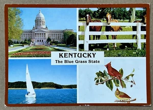 KENTUCKY The Blue Grass State - Vintage Postcard - Picture 1 of 2
