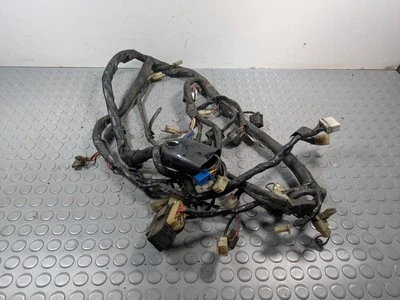 YAMAHA YZF 600 R Thundercat Wiring harness loom 1996-2002 29770671 - Image 1 of 4