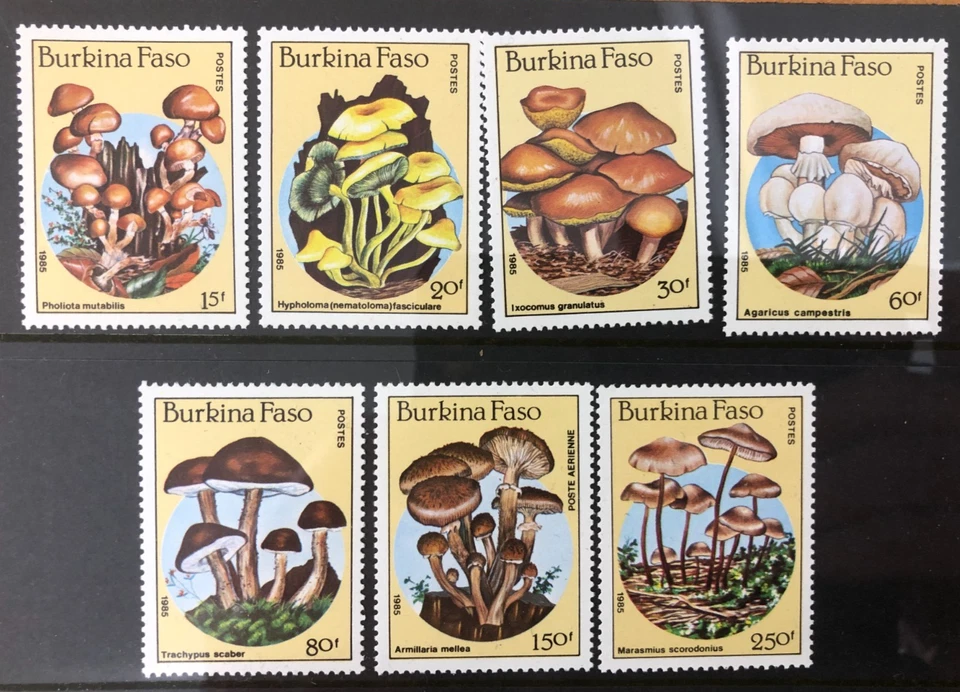 BURKINA FASO 1985 ГРИБЫ MNH НАБОР ИЗ 7 CAT £9 + - Изображение 1 из 1