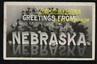 Rppc Apple Blossoms And Roses Large Letter Greetings From Nebraska 1909 Real Pho