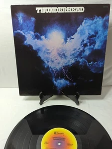[VG/VG] Thunderhead  - Thunderhead - Vinyl - Country Rock, Southern Rock - Picture 1 of 4