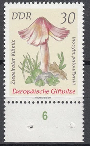 DDR 1974 Mi. Nr. 1938 mit Rand Postfrisch (26203) - Bild 1 von 1