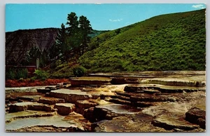 Postcard Wyoming Yellowstone National Park Opal Terrace at Mammoth c1950s VTG - Picture 1 of 2