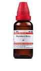 Dr Willmar Schwabe India Phytolacca Berry Mother Tincture Q (30ml) Drop
