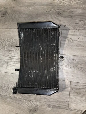 Honda CBR600 F4 CBR600F4 1999 2000 OEM radiador enfriador de motor Foto 1 de 4