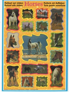 Horse Postcard Stickers - Picture 1 of 2