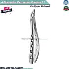 F1 Atraumatic Forceps Upper Universal, Animal Tooth Extraction Dental Instrument