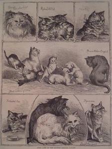 Prize Cats Abyssinian Persian Silver Teddy English Harper's Weekly 1872 Original - Picture 1 of 2