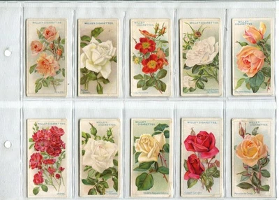 Roses "A" Series 1912 Wills Cigarette Cards - Full Set of 50 Cards - Image 1 of 4