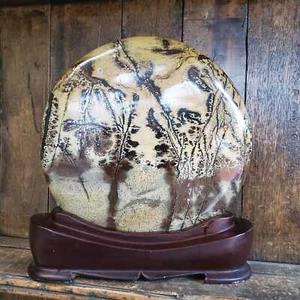 7lbs+ Large Picture Jasper Pastel Dendrite Statement Crystal 3260 grams | 7lbs  - Bild 1 von 10