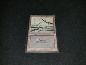 MTG 1x Revised basic land HP Italian FBB Swamp (Two branches) - ships w/ trackin - Picture 1 of 2