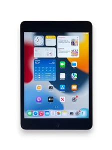 Apple iPad Mini 4 4th Gen Wi-Fi 16GB 32GB 64GB 128GB Space Gray Scratch (WORKS) - Picture 1 of 4
