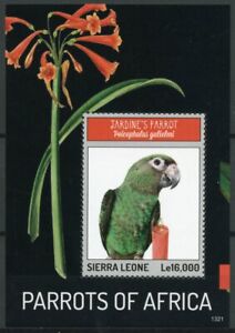 Sierra Leone 2013 MNH Parrots of Africa 1v S/S Birds Jardine's Parrot Stamps