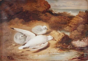 Samuel Edmonston, escocés, 1825-1906 pollitos junto a gaviota muerta, c. mediados del siglo XIX. - Imagen 1 de 14