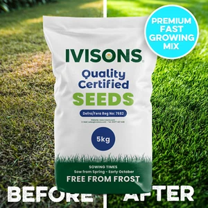 Super Fast Growing Grass Seed | Quick Rapid Lawn Repair & Growth | Pet-Friendly - Picture 1 of 16