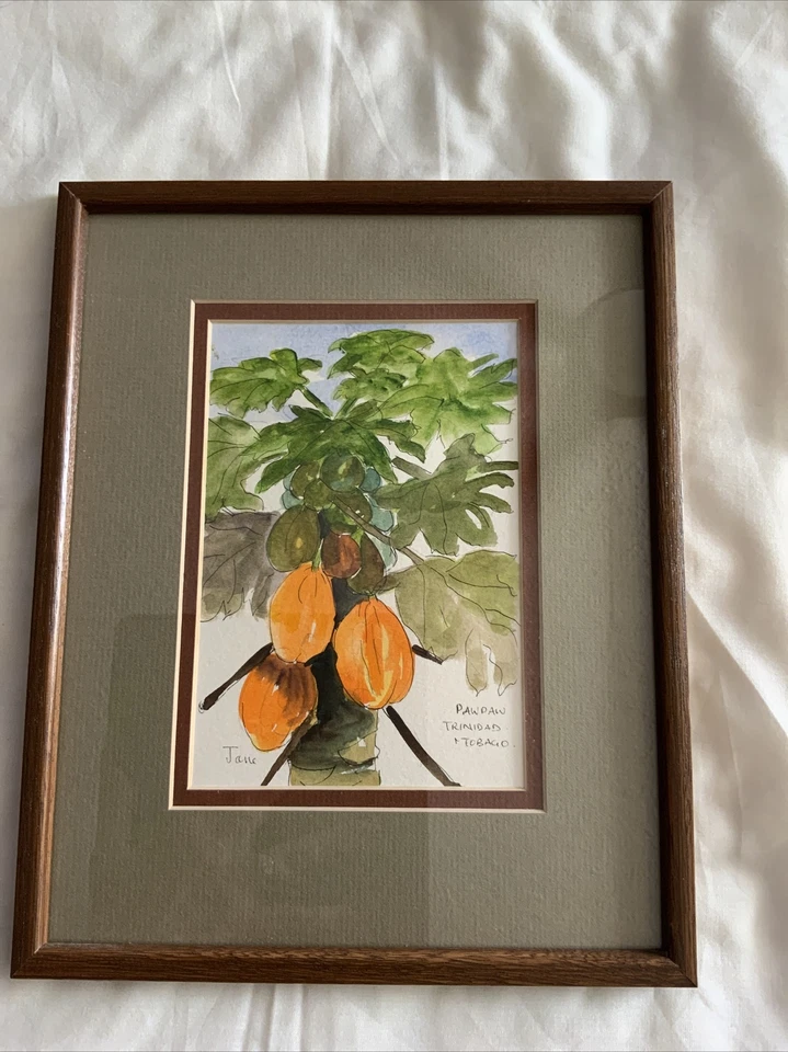 Pintura Original Jane Albert Paw Paw Trinidad y Tobago. Artista listado Foto 1 de 4