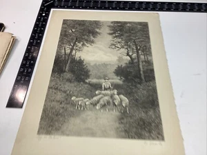 ART PAPER ETCHING PHOTO PRINT PLATE E. PEARLE SIGNED OFF TO PASTURE SHEEP PROOF - Picture 1 of 17