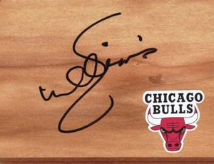 Chicago Bulls Scott Williams Signed Floorboard COA - Picture 1 of 1
