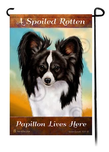 A Spoiled Rotten Black and White Papillon Lives Here - Picture 1 of 1