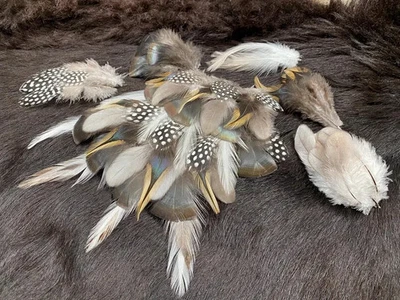 50er Federmix, 5-12cm, 5 Sorten, Bastelfedermix aus artgerechter Haltung, bunte - Bild 1 von 4