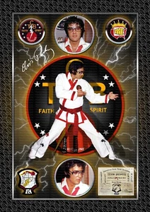 Elvis Presley Karate - A4 Signed PHOTO PRINT MEMORABILIA - Picture 1 of 8