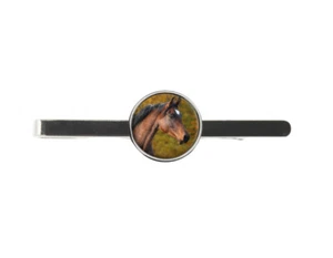 Barra deslizante corbata caballo para hombre ideal regalo de boda viene regalo en caja C52 - Imagen 1 de 1