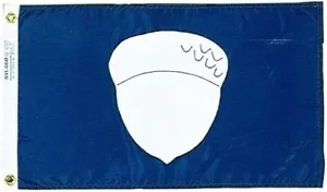 Treasurer Yacht Club Officer Indoor Outdoor Nylon Boat Flag w/ Grommets 12"X18" - Bild 1 von 5