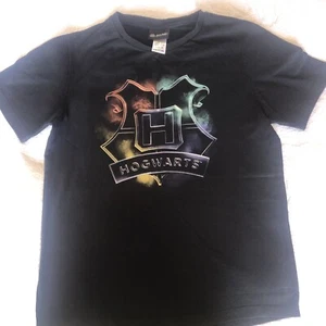 Iconic Harry Potter Character Hogwarts Design Black T Shirt Size 14 Boys - Picture 1 of 7