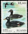 ALAND ISLANDS 21 - Velvet Scoter Ducks "Melanitta fusca" (pb17722)