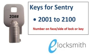 Key to Suit Sentry Fire Safes and Chests 1100 1170 - 2001 - 2100 - FREE POST - Picture 1 of 5