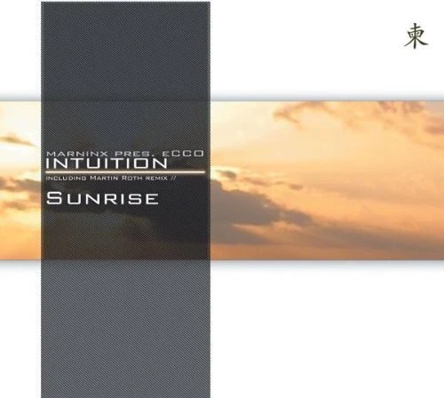 Marninx pres. Ecco Intuition  [Maxi-CD] - Bild 1 von 1