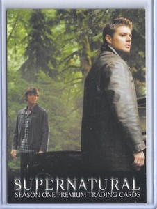 SUPERNATURAL Season 1 SN-i Internet Promo Card Inkworks SNi SFC