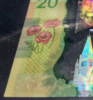 *Certificação BCS* VARIEDADE - MUDANÇA DE COR MARROM INFERIOR ESQUERDO 2012 Canadá $20 - Imagem 1 de 4