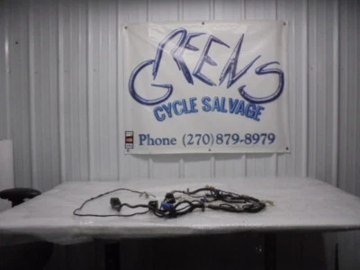 Yamaha V Star 650 2002 OEM motor principal arnés de cableado motor Foto 1 de 4