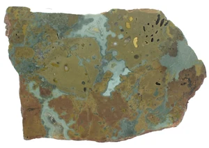 Polished Western Australian Galaxy Agate Slice Stone Slab Pilbara GA02054 - Bild 1 von 5