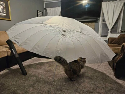 Paraguas Westcott 7' (CADA UNO) (difusión blanca) MEJORADO Foto 1 de 4