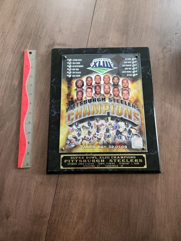 STEELERS SUPER BOWL XLIII NFL TEAM PICTURE PLAQUE Cover