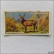 John Player Natural History #5 Sing-Sing Antelope 1924 Cigarette Card (CC27)