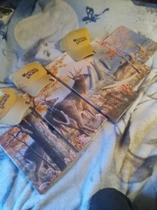 Beautiful Deer Wall Art + Missouri Whitetail Antlers + Hats (SEE DESCRIPTION) - Picture 1 of 7