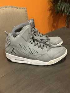 Size 10.5 - Jordan SC-3 Cool Grey - Picture 1 of 6