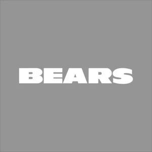 Chicago Bears #2 NFL Team Logo 1 Color Vinyl Decal Sticker Window Car Wall - Picture 1 of 7