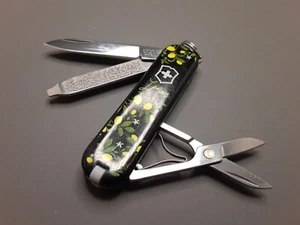 Victorinox Classic SD Limited Edition Lemons Swiss Army Pocket Knife r1 - Picture 1 of 8