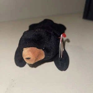Ty Beanie Baby Blackie The Bear Rare - Picture 1 of 12