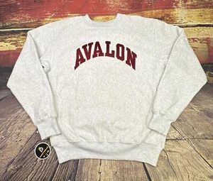 De Colección Sudadera Avalon Para Hombres XL 90s Tejido Inverso Suéter Surfista Nueva Jersey EE. UU. - Imagen 1 de 14