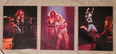 JETHRO TULL 8 1/2" x 11" LOT Original Color Concert Photos by Mike Petrello - Image 1 of 4